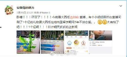 一亿元吃瓜群众是真的吗,揭秘网络舆论背后的惊人真相