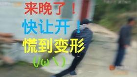 小鹤吃瓜群众是真的吗,揭秘网络热议背后的真相