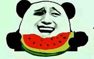 吃瓜群众跨年图片搞笑,吃瓜群众搞笑瞬间大盘点!