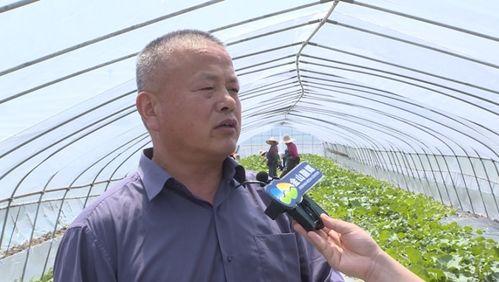 吃瓜群众老谭,揭秘娱乐圈背后的那些事儿