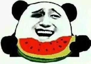 吃瓜群众看狗咬狗,狗咬狗的残酷现实