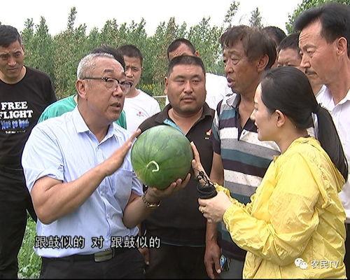 余姚吃瓜群众事件视频,一场网络舆论的风暴与反思