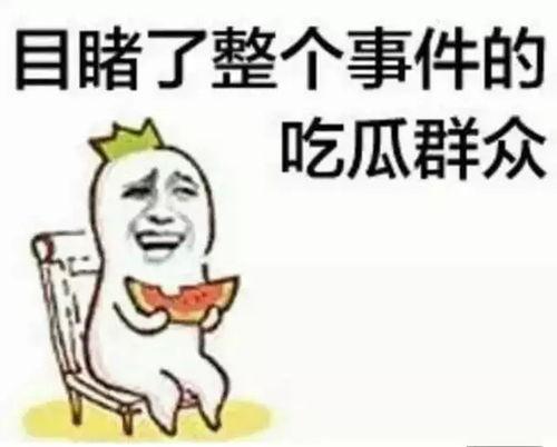 你不懂吃瓜群众吗什么意思,揭秘“不懂吃瓜群众”背后的网络流行语内涵