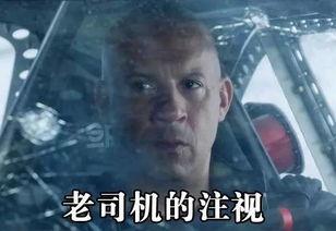 速度与激情吃瓜群众,吃瓜群众揭秘赛车世界的激情燃烧