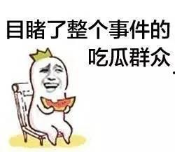 吃瓜群众的介绍稿子图片,一场视觉盛宴