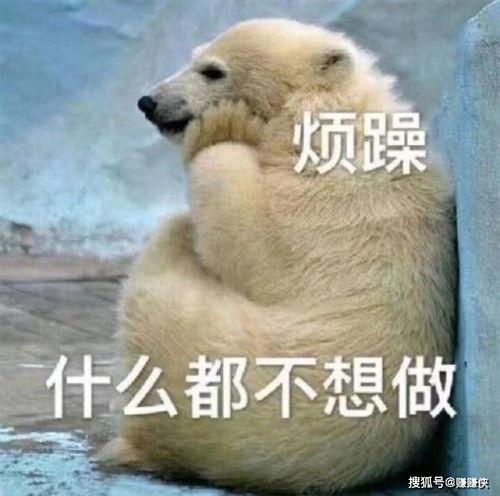 吃瓜群众表情包互动图,趣味横生的网络社交新宠