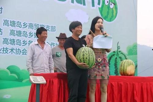 最高大的吃瓜群众,揭秘娱乐圈风云变幻