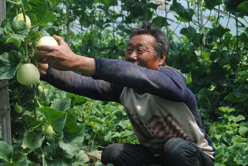 吃瓜群众济宁,揭秘当地美食与趣闻