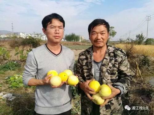吃瓜群众济宁,揭秘当地美食与趣闻