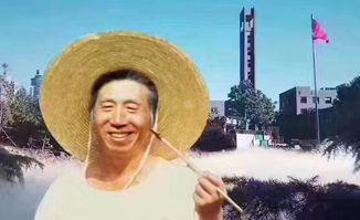 太康吃瓜群众事件,一场网络舆论的风暴与反思