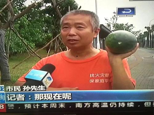 吃瓜群众看热点新闻,吃瓜群众视角下的热点新闻盘点