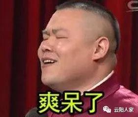 吃瓜群众棒棒的表情包是什么,揭秘网络热图的魅力与影响力