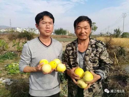 吃瓜群众鹰潭,吃瓜群众眼中的城市风采