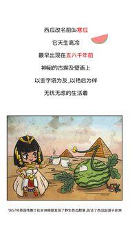 吃瓜群众的历史修养在哪,历史修养的演变与启示