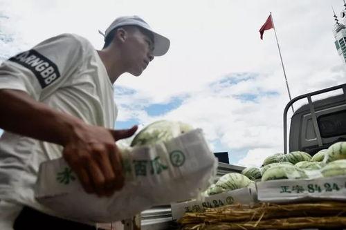 做一个每天吃瓜的群众,我的吃瓜群众日常