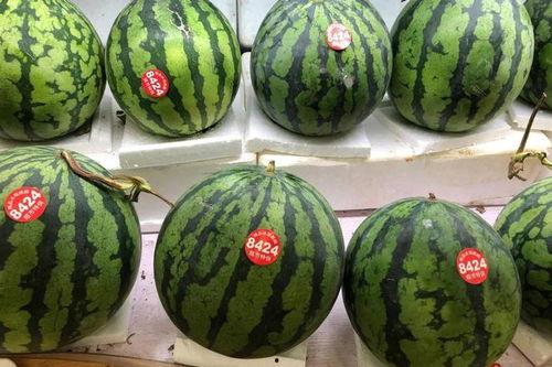 国外最小的吃瓜群众,揭秘国外萌娃的欢乐日常