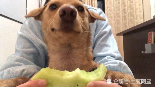 吃瓜群众吧唧吧唧,揭秘娱乐圈幕后故事