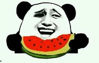 吃瓜群众的来源视频,一场网络热词的诞生记