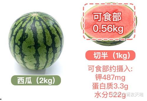 吃瓜群众夏日神器,吃瓜群众夏日神器大盘点