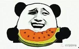 音乐世界吃瓜群众,揭秘娱乐圈幕后故事