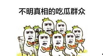音乐世界吃瓜群众,揭秘娱乐圈幕后故事