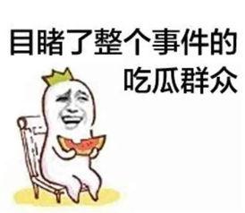 音乐世界吃瓜群众,揭秘娱乐圈幕后故事