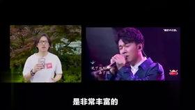 吃瓜群众歌词歌曲,揭秘娱乐圈背后的真相与笑料