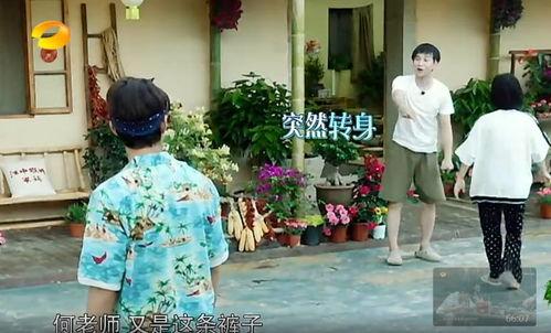 威县吃瓜群众事件真相,真相与反思