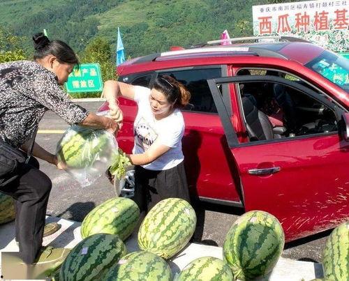山西太原吃瓜群众,太原街头“吃瓜”众生相