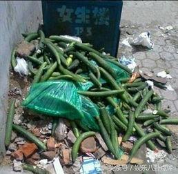 吃瓜群众黄瓜 图片,揭秘“吃瓜群众”与黄瓜的趣味故事