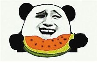 吃瓜群众一天一个西瓜,吃瓜群众的一天，西瓜相伴