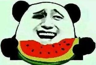 怎么吃瓜吃瓜群众说话,揭秘“吃瓜群众”的说话艺术