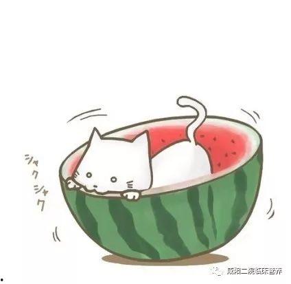 关于吃瓜群众qq头像